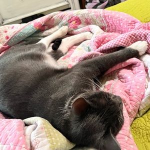 Meet your Posher, Aida